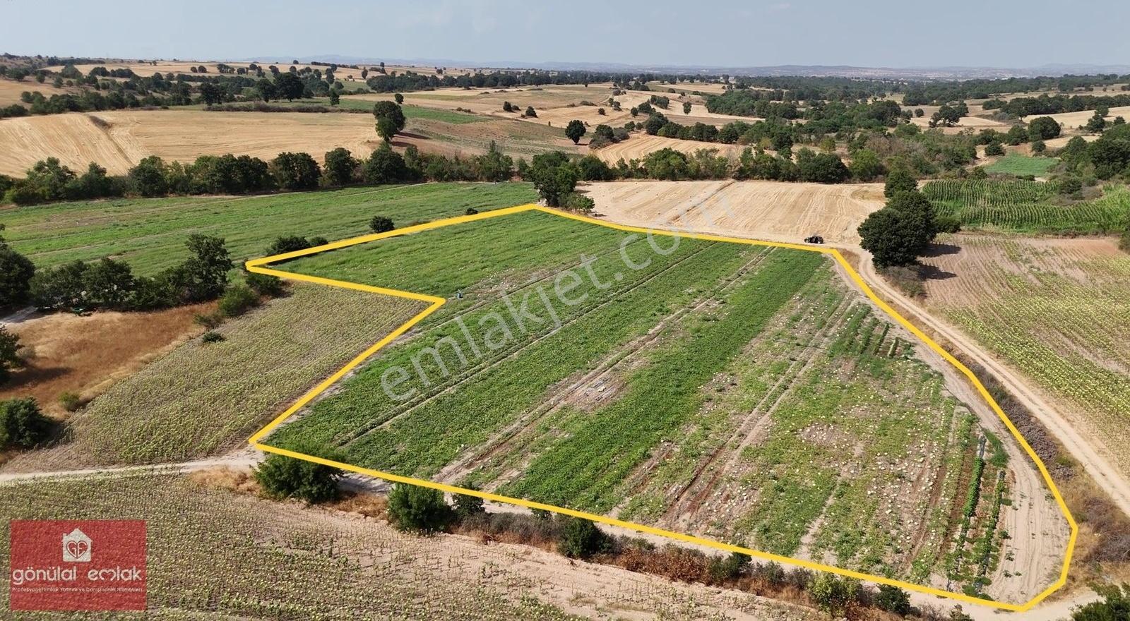 Kırklareli Kavakdere Resmi Yola Cephe Dereboyu 12.900 M2 Tarla - Görsel 21