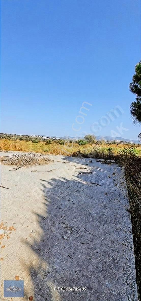 Bodrum Mumcular Yakını Güvercinlik 4dk 1.470m2 Tarla - Görsel 2