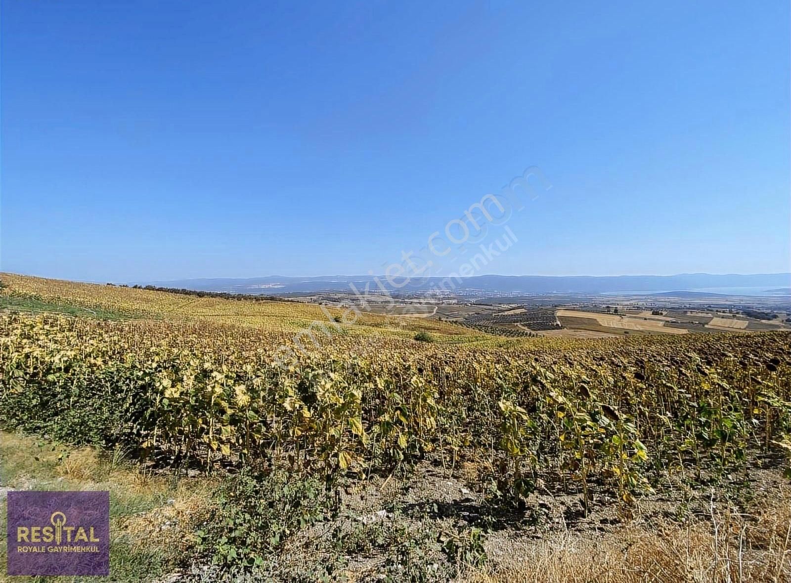 Nilüfer Konaklı'da Satılık Tarla - Görsel 7