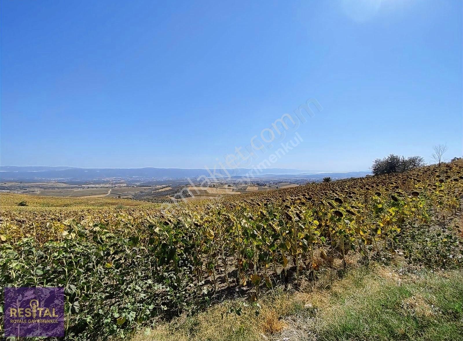 Nilüfer Konaklı'da Satılık Tarla - Görsel 9