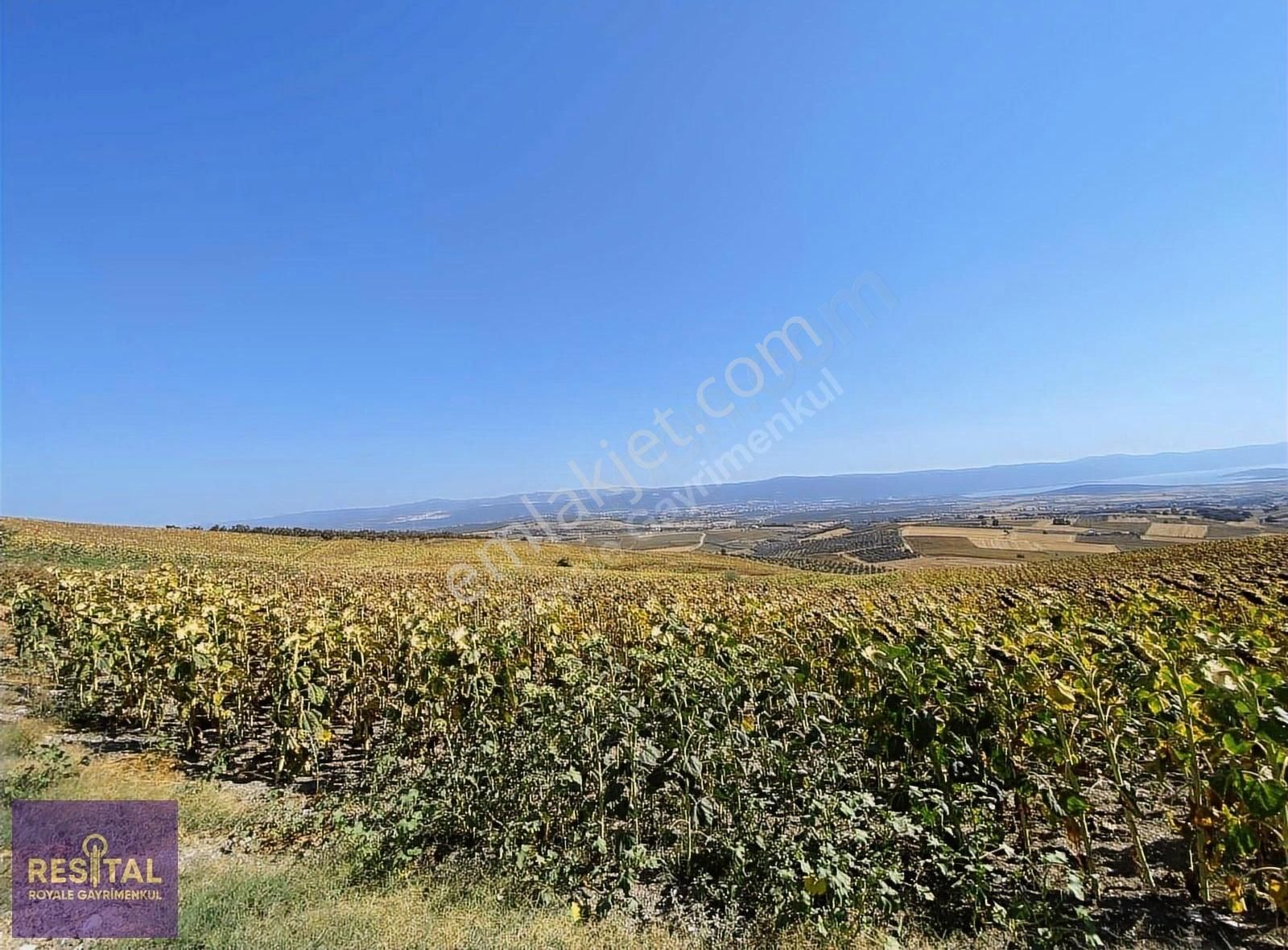 Nilüfer Konaklı'da Satılık Tarla - Görsel 6