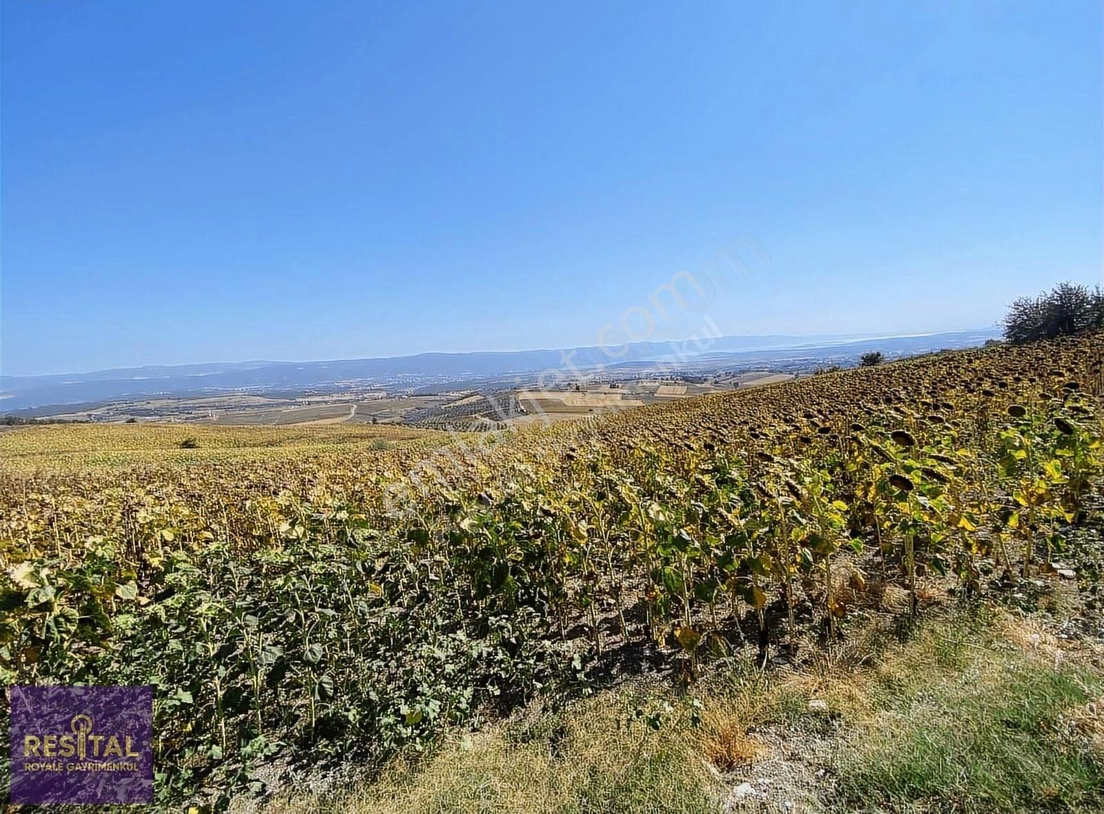 Nilüfer Konaklı'da Satılık Tarla - Görsel 10