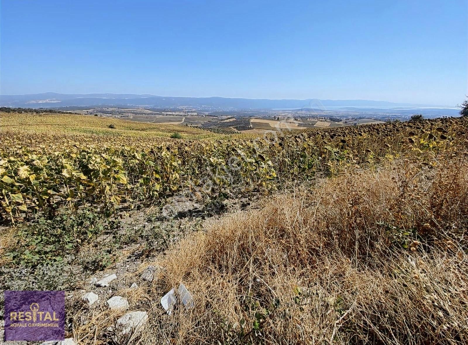 Nilüfer Konaklı'da Satılık Tarla - Görsel 3