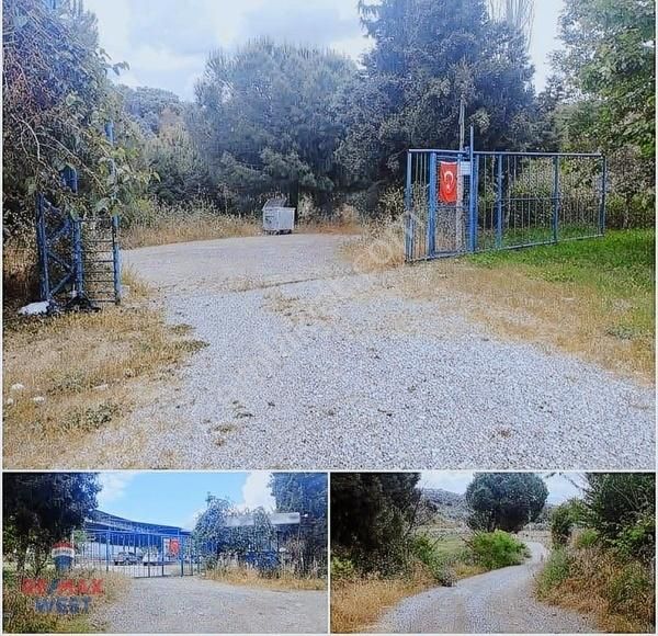 Aydın Germencik'te Satılık Çiftlik - Görsel 10