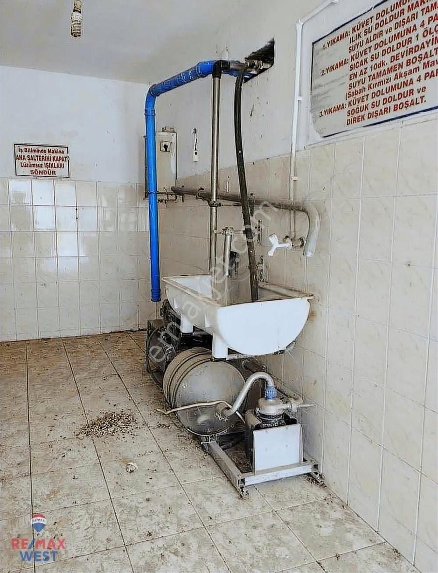 Aydın Germencik'te Satılık Çiftlik - Görsel 15