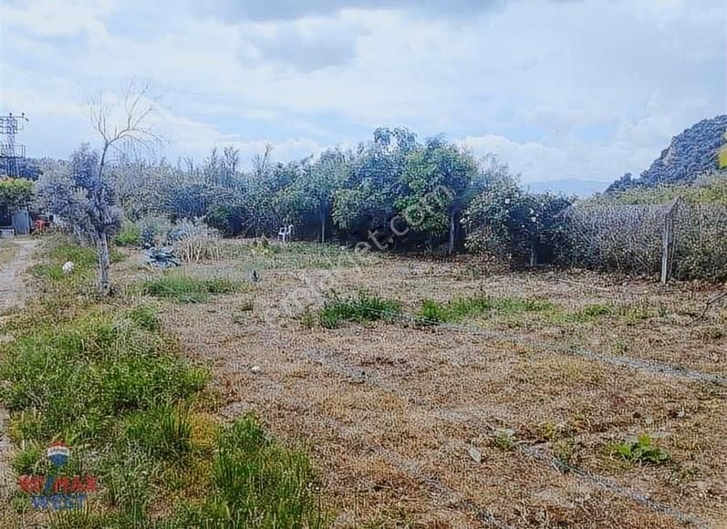 Aydın Germencik'te Satılık Çiftlik - Görsel 6