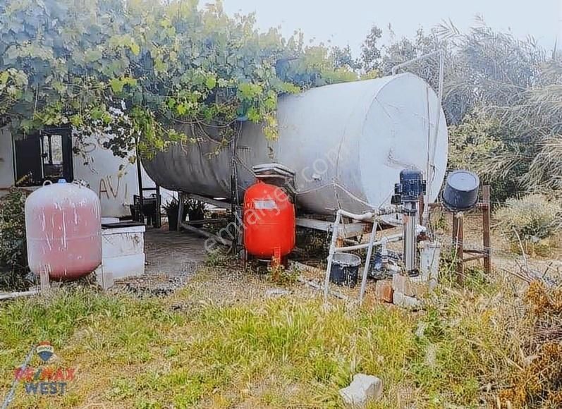 Aydın Germencik'te Satılık Çiftlik - Görsel 12