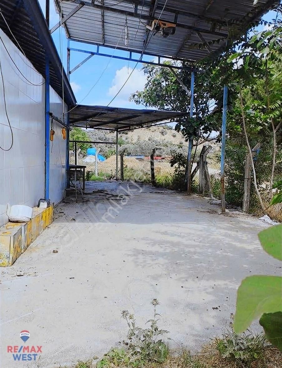 Aydın Germencik'te Satılık Çiftlik - Görsel 7