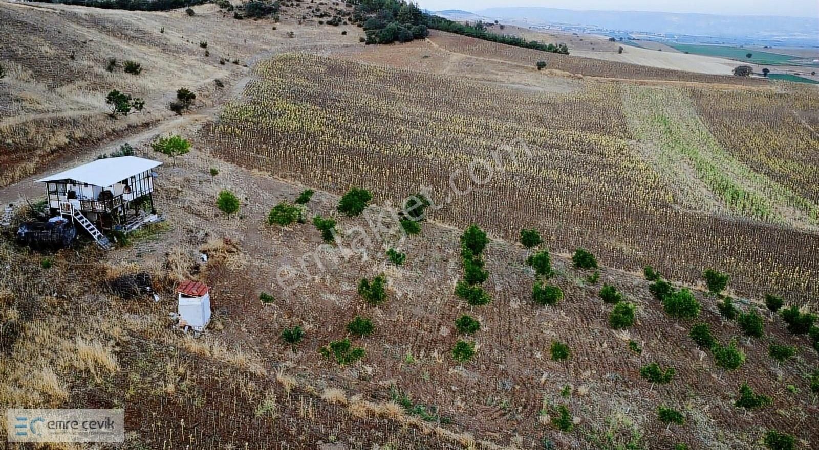 Yenişehir Afşar'da Yatırımlık Tarla 7125m2 - Görsel 2