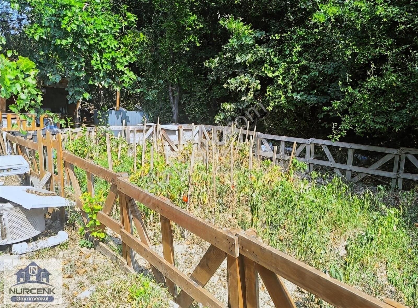 2 Katlı Evi Olan Asfalta Cephe Göl Ve Orman Manzaralı 10.223 M2