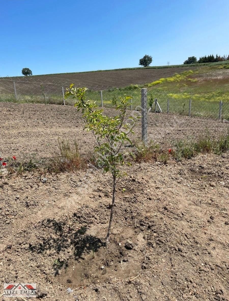 Alizeden Silivri De Çap Muvakatnameli Kupon Yer 578 Yerin Belli - Görsel 9