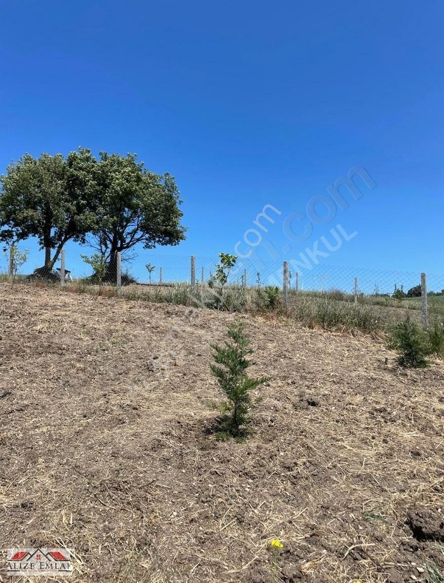 Alizeden Silivri De Çap Muvakatnameli Kupon Yer 578 Yerin Belli - Görsel 10