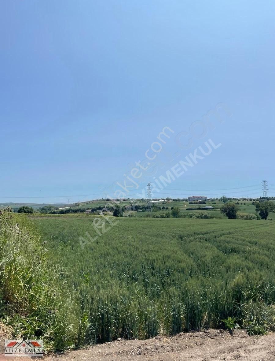 Alizeden Silivri De Çap Muvakatnameli Kupon Yer 578 Yerin Belli - Görsel 7