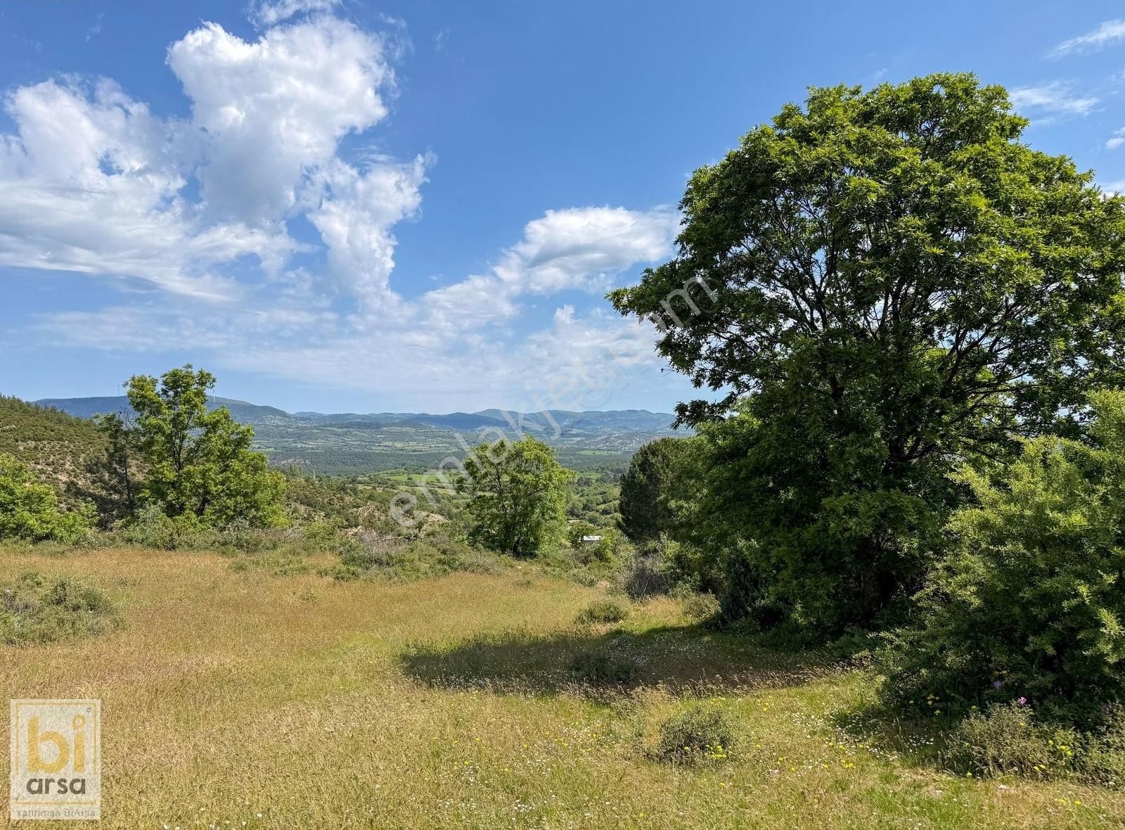 Çanakkale Çan'da Doğa İle İç İçe 1665 M² Yatırım Fırsatı - Görsel 12