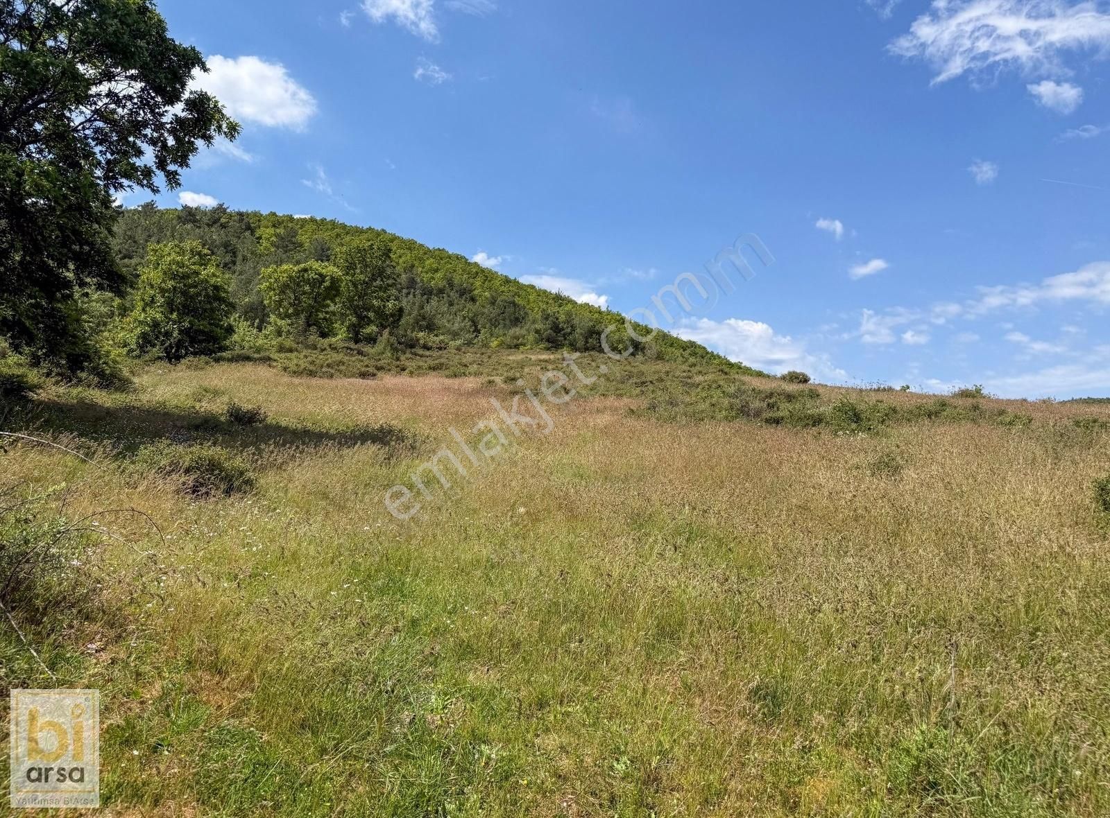 Çanakkale Çan'da Doğa İle İç İçe 1665 M² Yatırım Fırsatı - Görsel 25