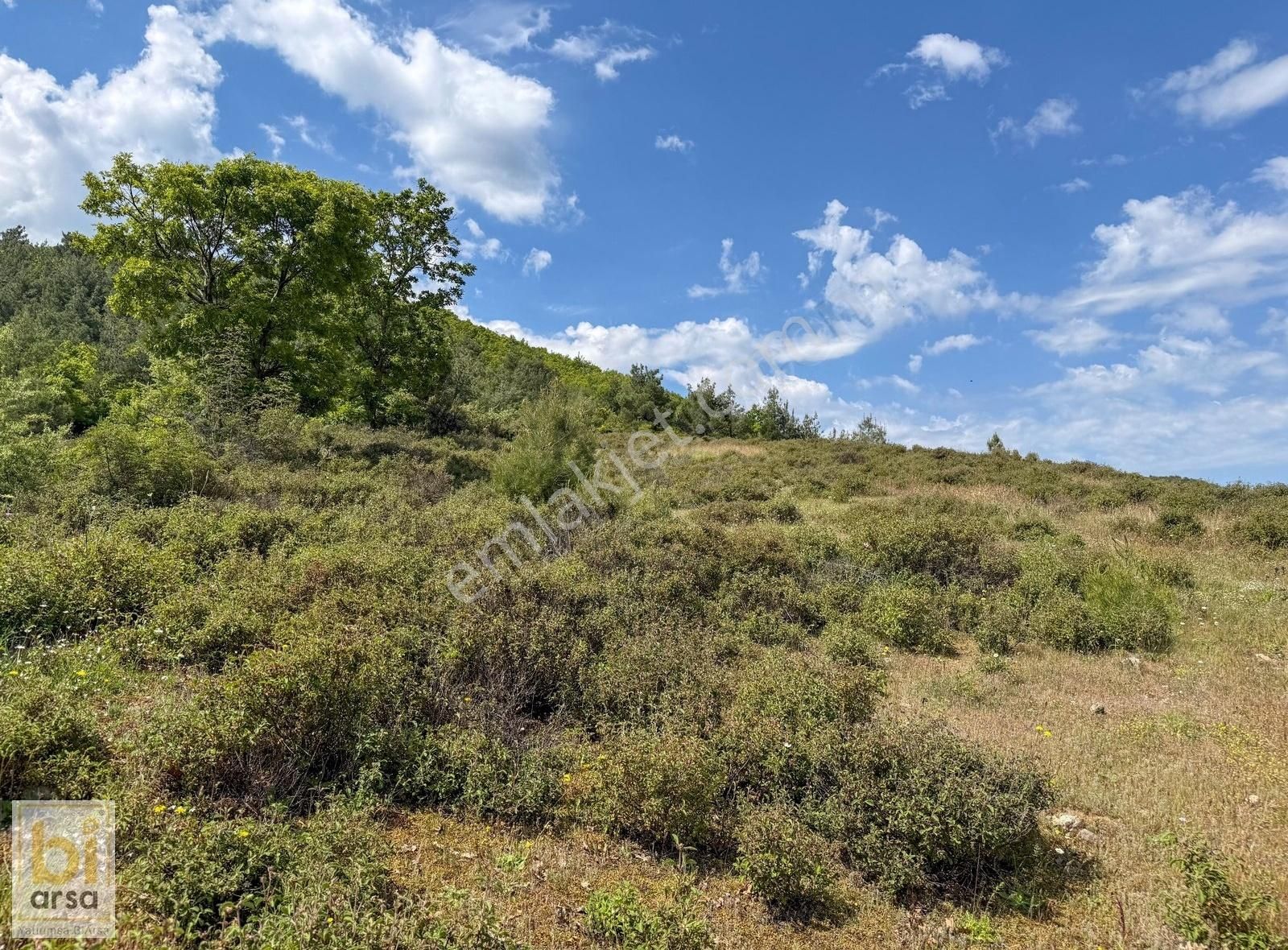 Çanakkale Çan'da Doğa İle İç İçe 1665 M² Yatırım Fırsatı - Görsel 34