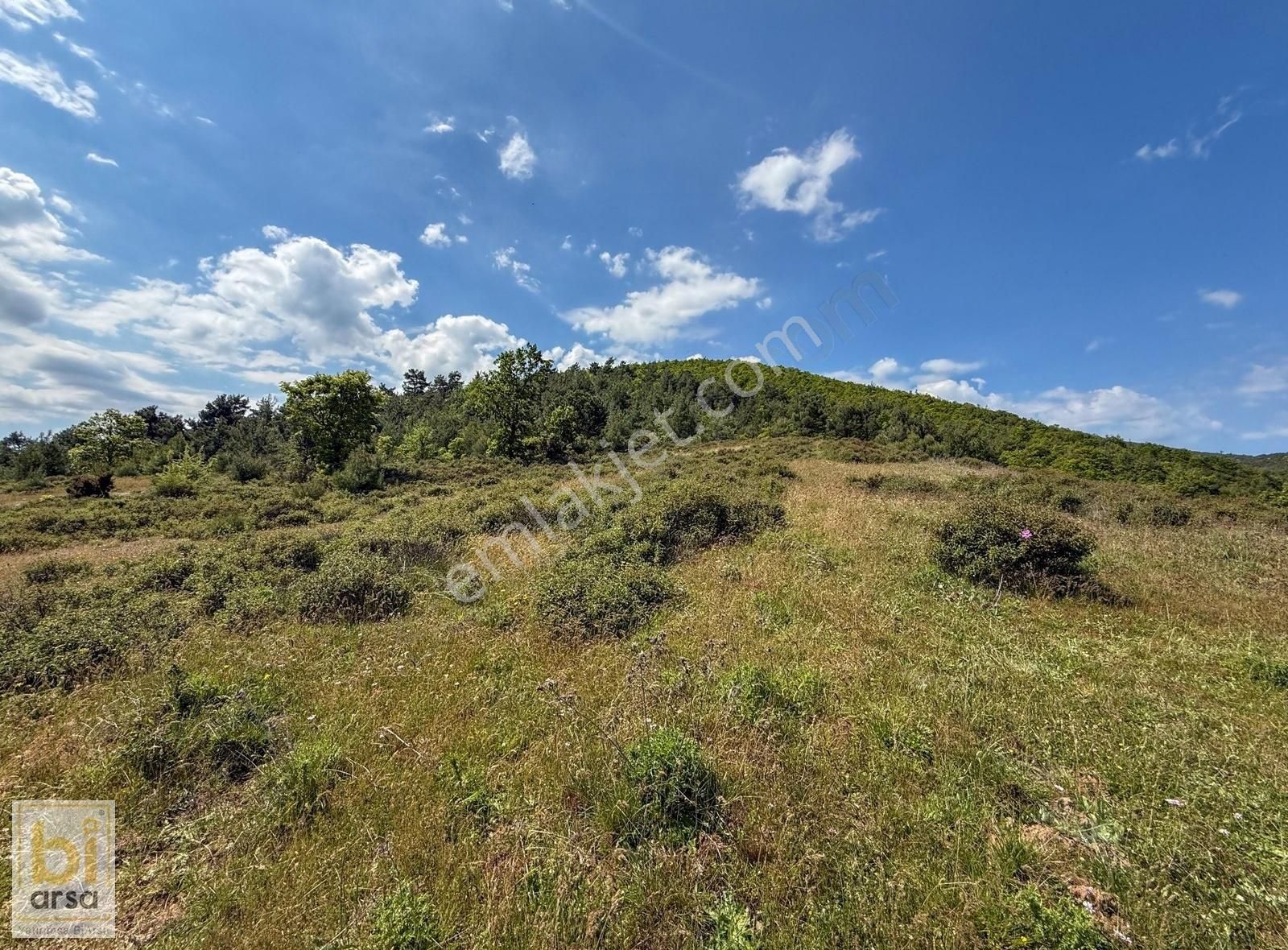 Çanakkale Çan'da Doğa İle İç İçe 1665 M² Yatırım Fırsatı - Görsel 21