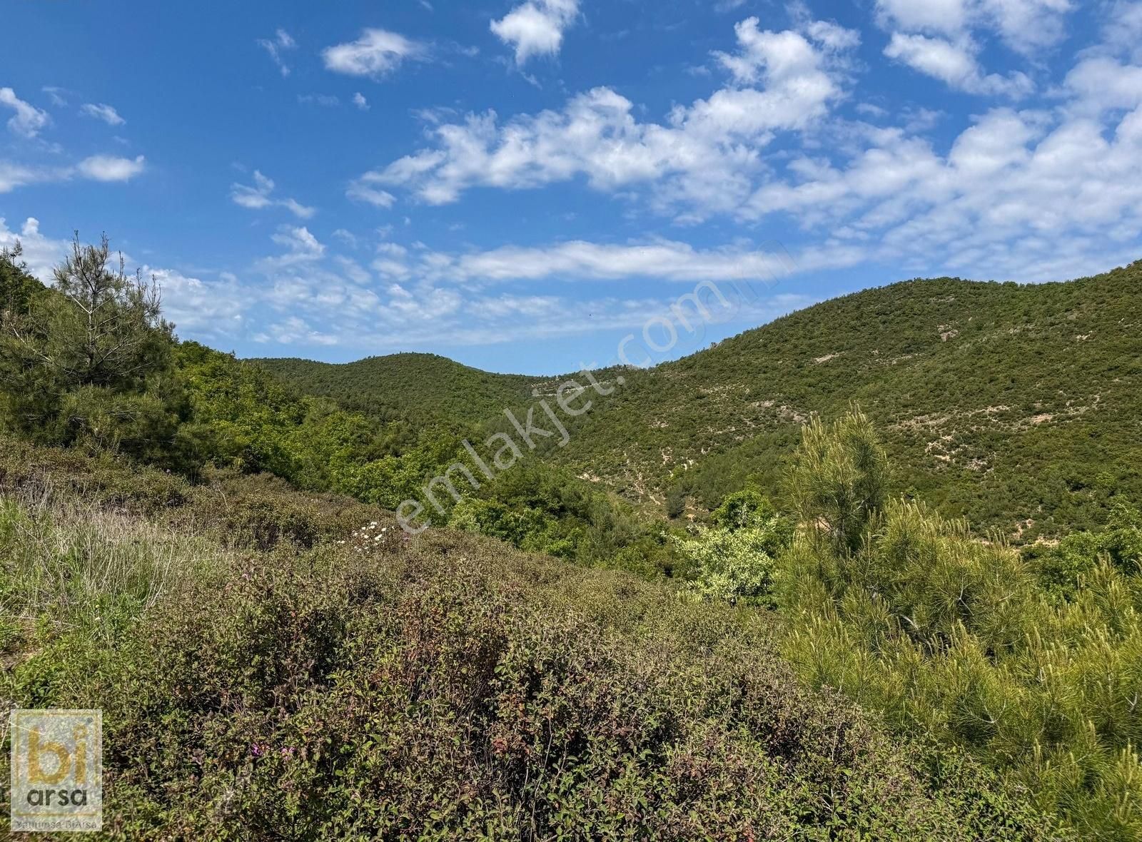 Çanakkale Çan'da Doğa İle İç İçe 1665 M² Yatırım Fırsatı - Görsel 8