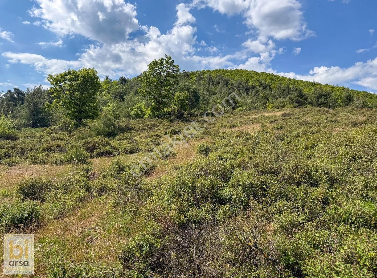 Çanakkale Çan'da Doğa İle İç İçe 1665 M² Yatırım Fırsatı - Görsel 23