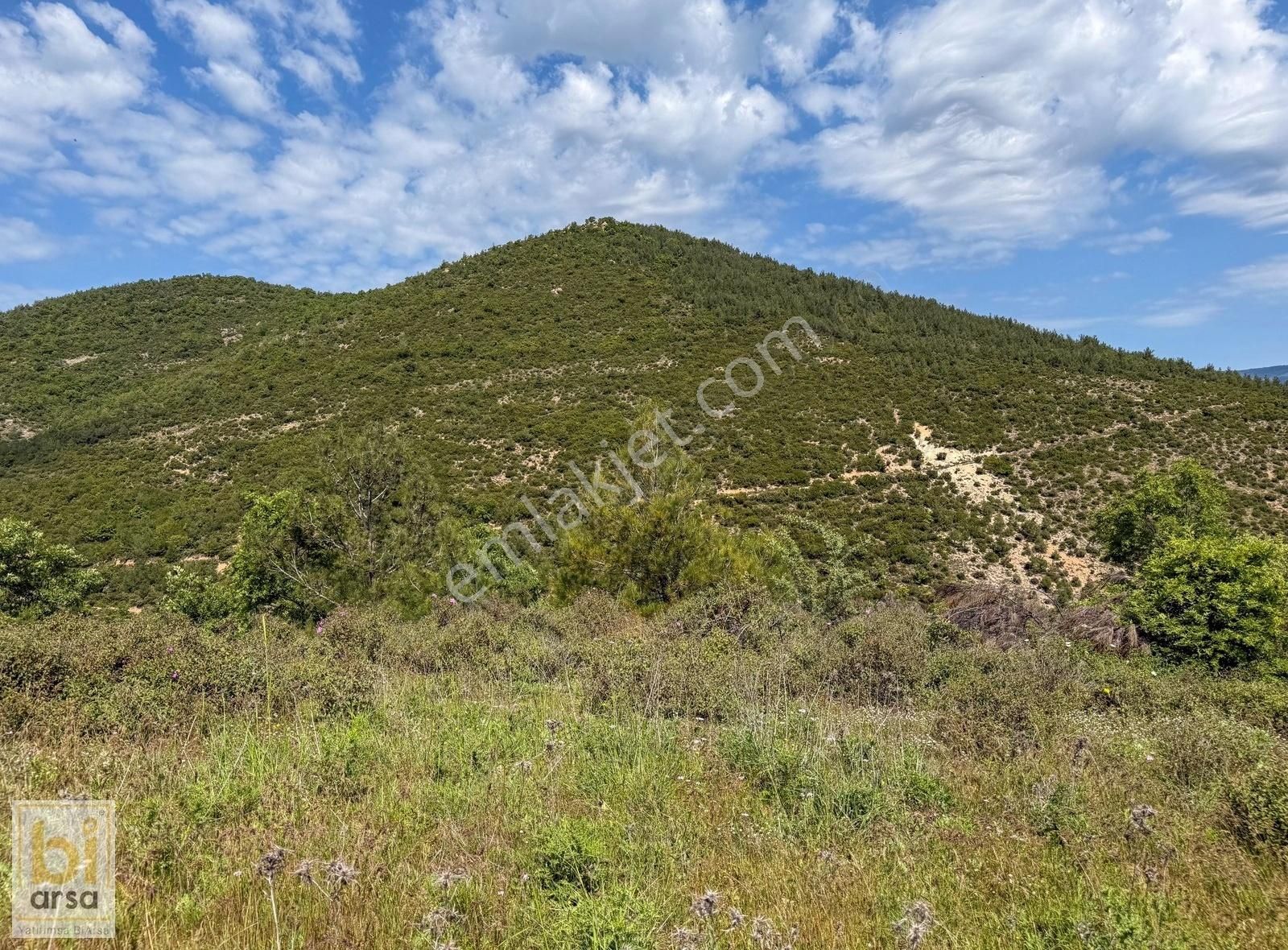 Çanakkale Çan'da Doğa İle İç İçe 1665 M² Yatırım Fırsatı - Görsel 22