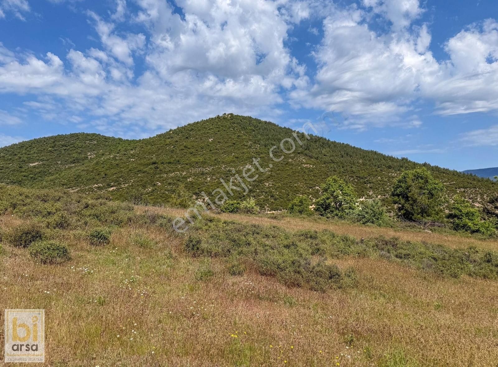 Çanakkale Çan'da Doğa İle İç İçe 1665 M² Yatırım Fırsatı - Görsel 27