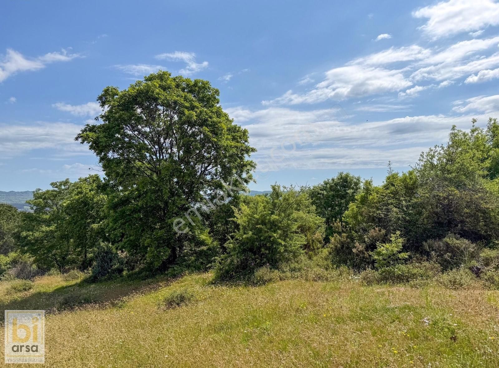 Çanakkale Çan'da Doğa İle İç İçe 1665 M² Yatırım Fırsatı - Görsel 32