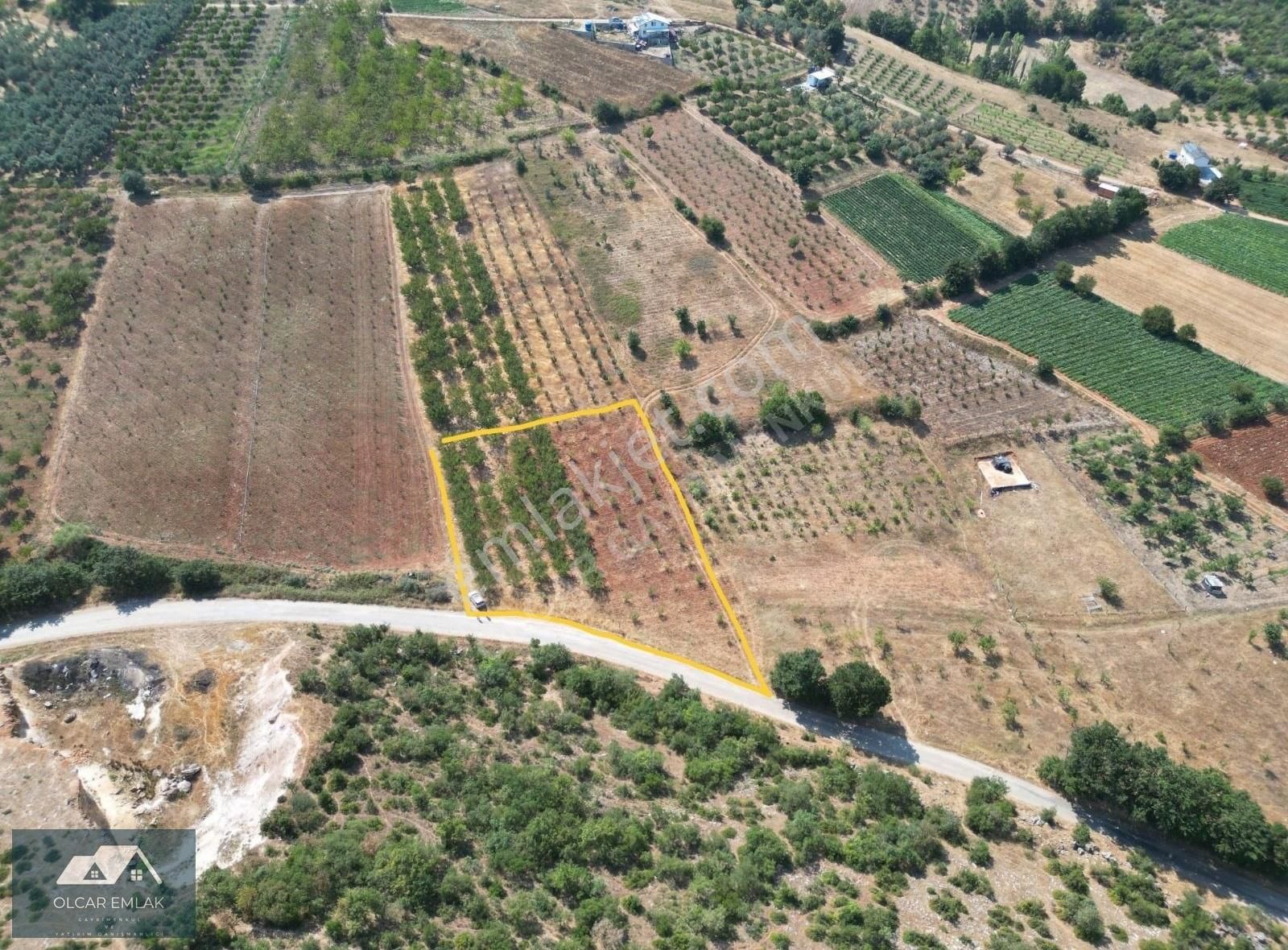 İznik Mahmudiye Köyünde Satılık 2.887 M² Tarla Asfalta Cephe, - Görsel 15