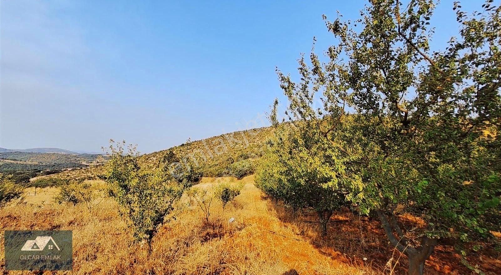 İznik Mahmudiye Köyünde Satılık 2.887 M² Tarla Asfalta Cephe, - Görsel 12