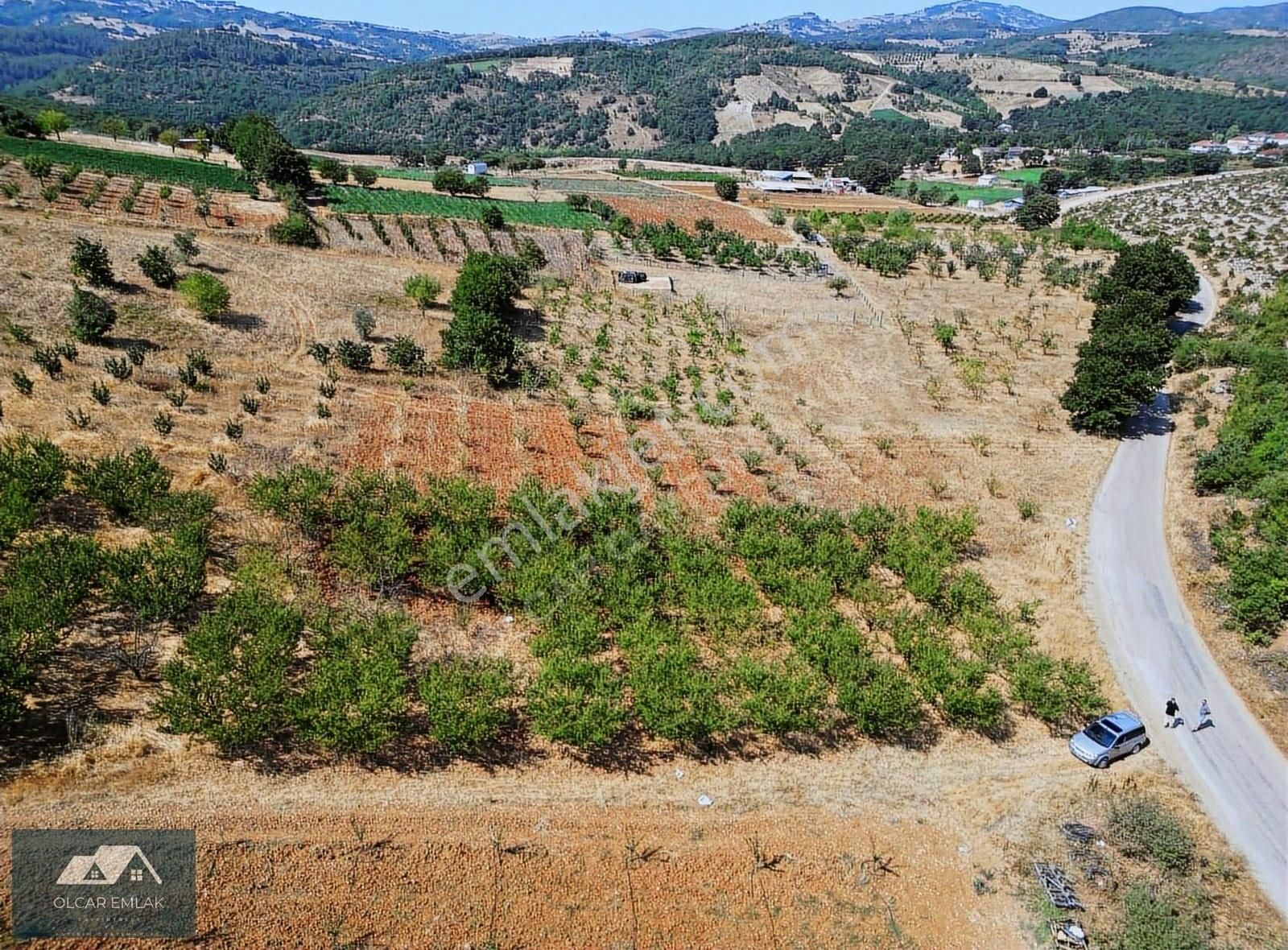 İznik Mahmudiye Köyünde Satılık 2.887 M² Tarla Asfalta Cephe, - Görsel 9