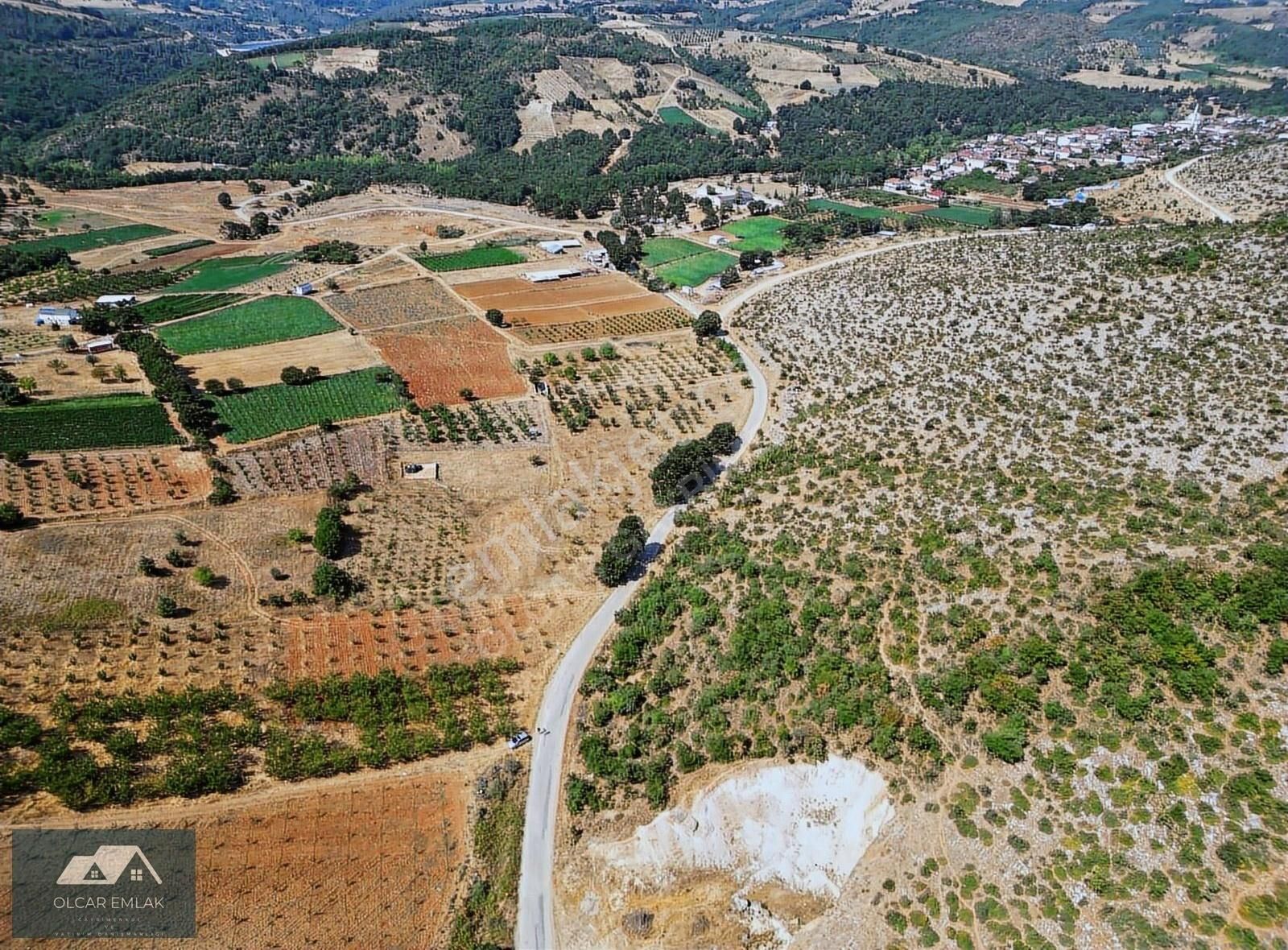 İznik Mahmudiye Köyünde Satılık 2.887 M² Tarla Asfalta Cephe, - Görsel 7