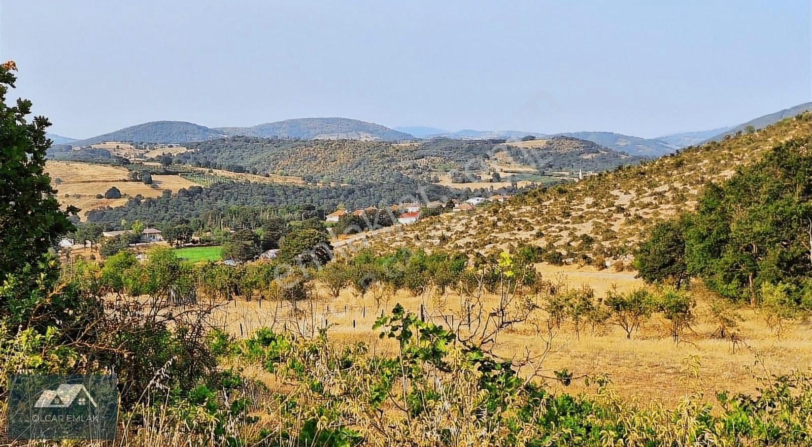 İznik Mahmudiye Köyünde Satılık 2.887 M² Tarla Asfalta Cephe, - Görsel 14