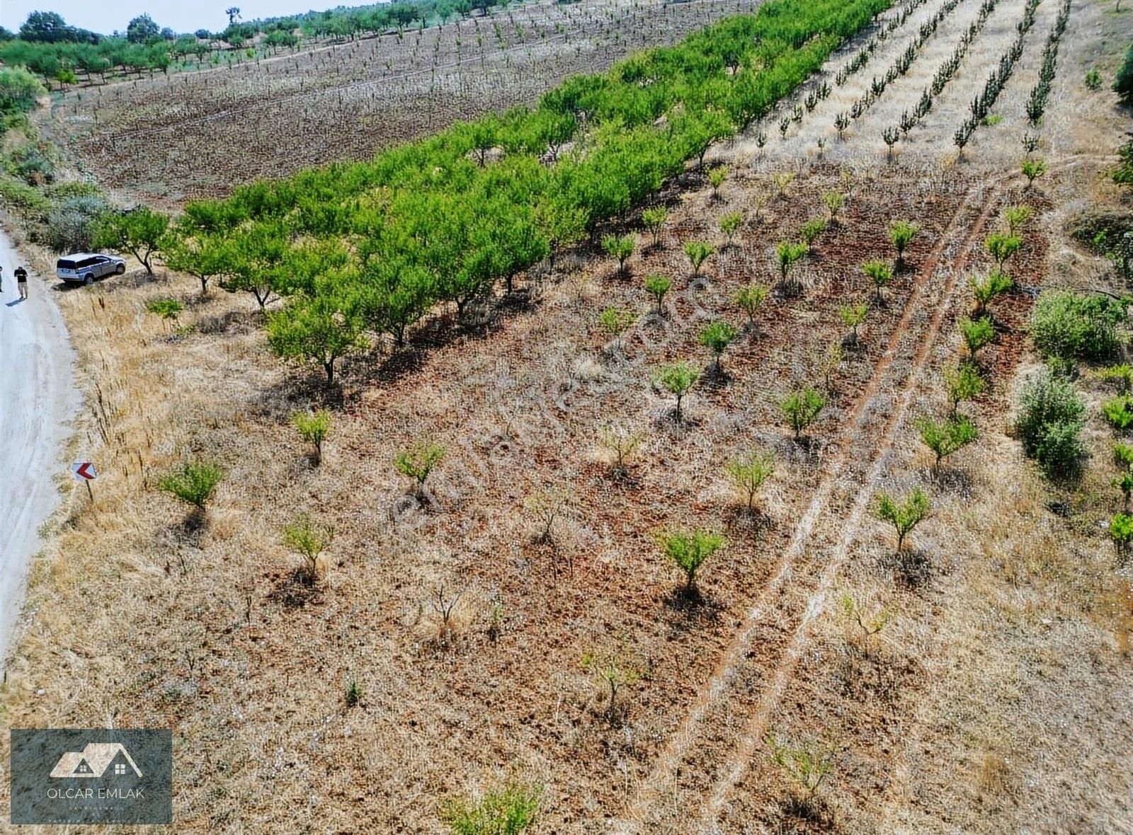 İznik Mahmudiye Köyünde Satılık 2.887 M² Tarla Asfalta Cephe, - Görsel 10