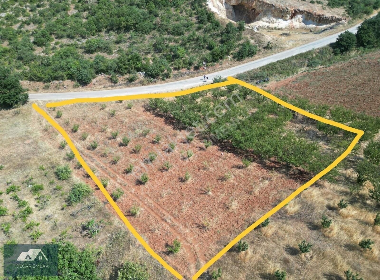 İznik Mahmudiye Köyünde Satılık 2.887 M² Tarla Asfalta Cephe, - Görsel 11