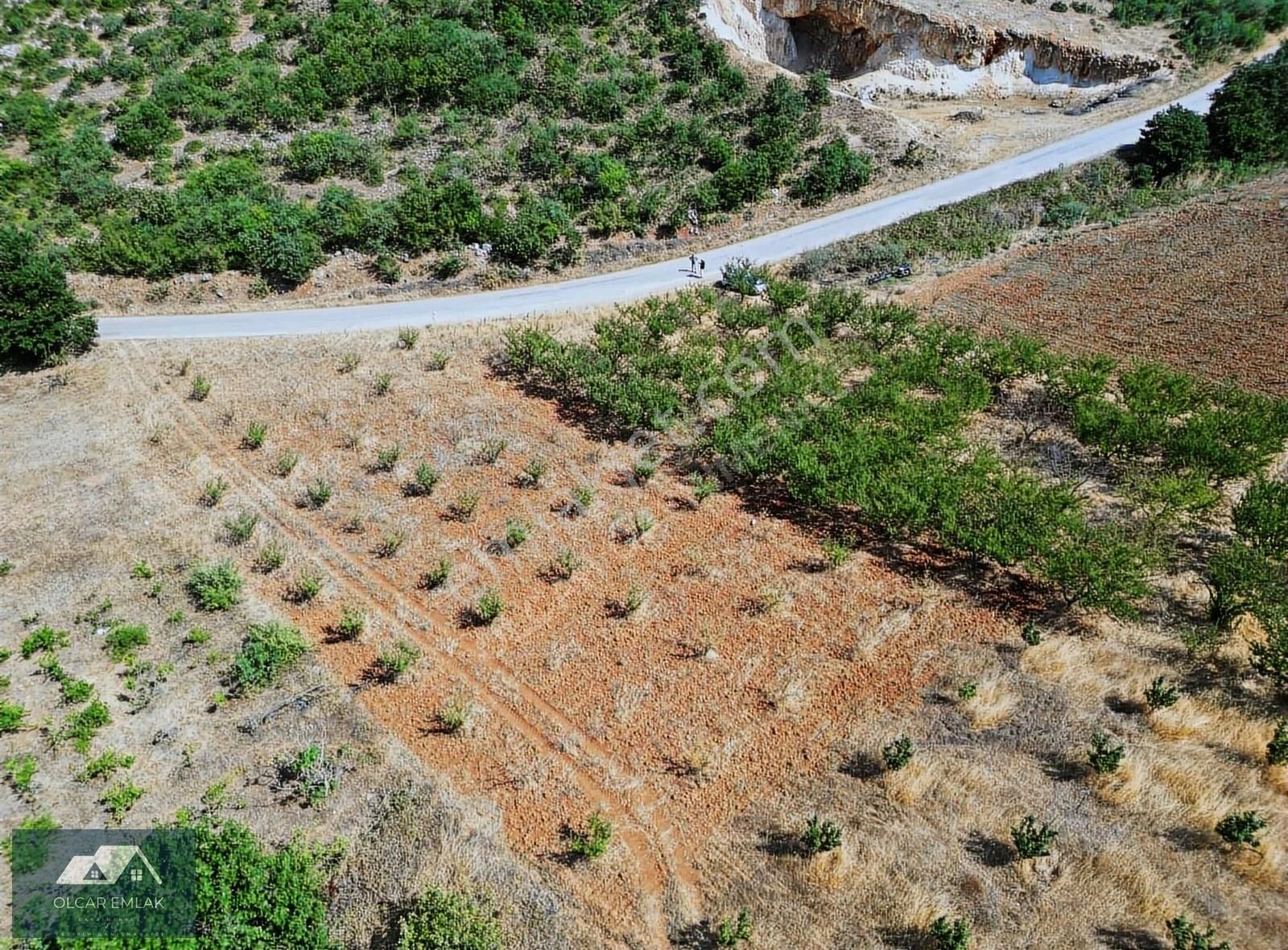 İznik Mahmudiye Köyünde Satılık 2.887 M² Tarla Asfalta Cephe, - Görsel 13