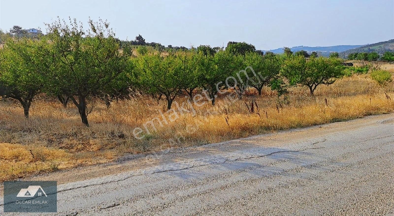 İznik Mahmudiye Köyünde Satılık 2.887 M² Tarla Asfalta Cephe, - Görsel 4