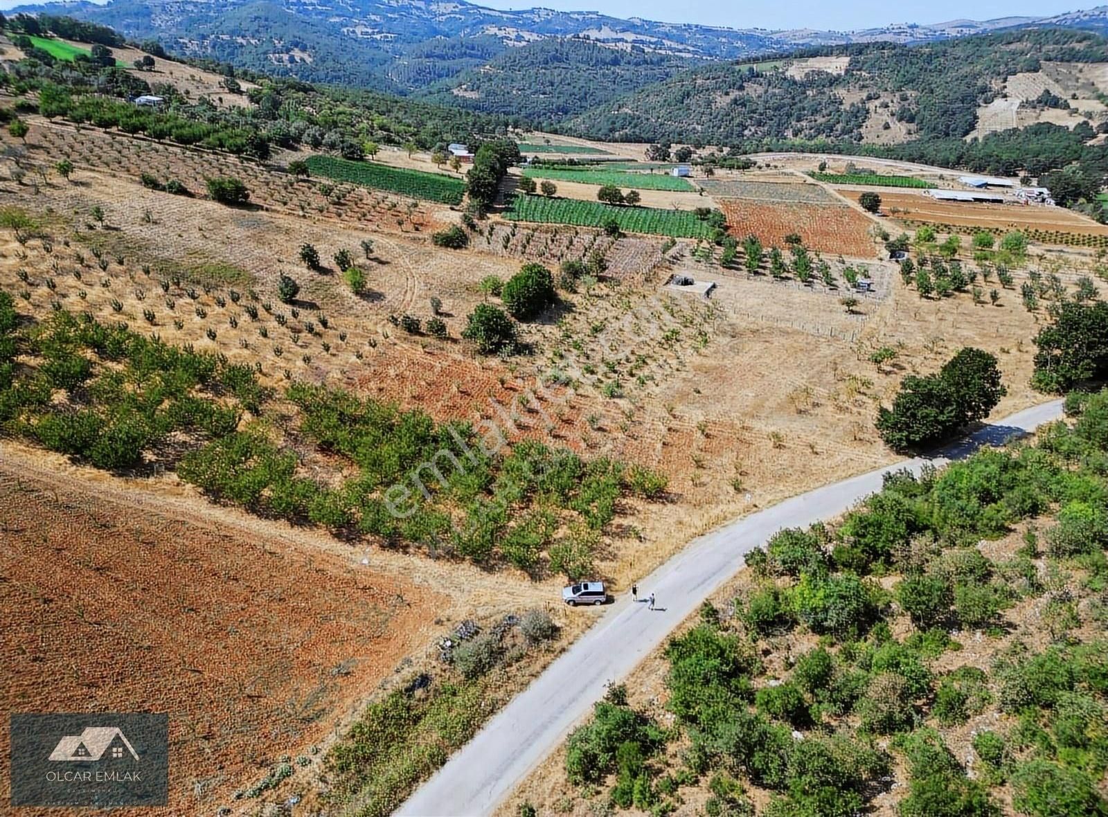 İznik Mahmudiye Köyünde Satılık 2.887 M² Tarla Asfalta Cephe, - Görsel 2