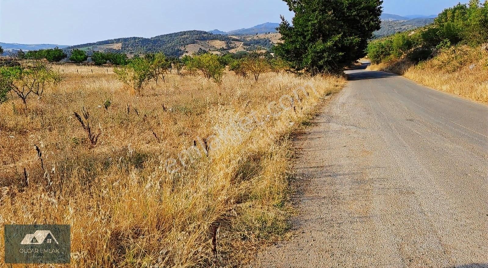 İznik Mahmudiye Köyünde Satılık 2.887 M² Tarla Asfalta Cephe, - Görsel 3