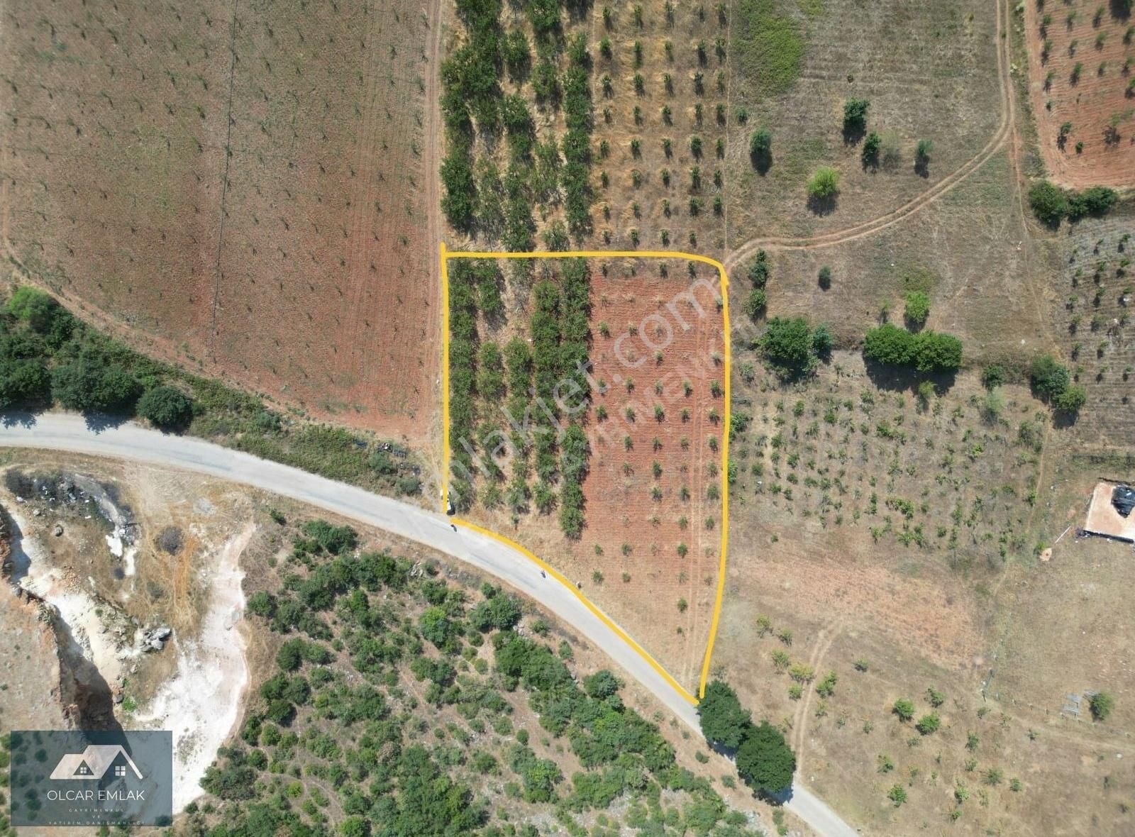 İznik Mahmudiye Köyünde Satılık 2.887 M² Tarla Asfalta Cephe,