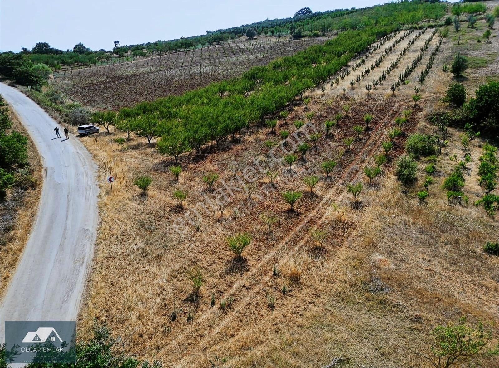 İznik Mahmudiye Köyünde Satılık 2.887 M² Tarla Asfalta Cephe, - Görsel 8