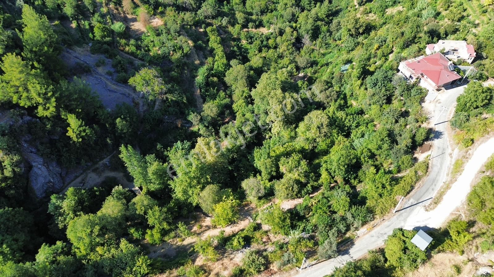 Alanya Deretürbelinas Köyü’nde Satılık 4.276 M² Tarla - Görsel 10