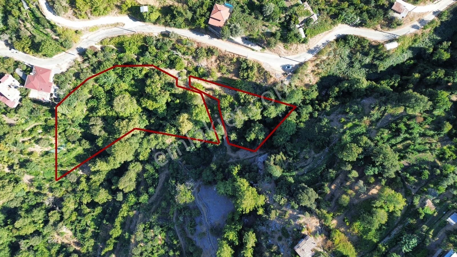 Alanya Deretürbelinas Köyü’nde Satılık 4.276 M² Tarla - Görsel 14