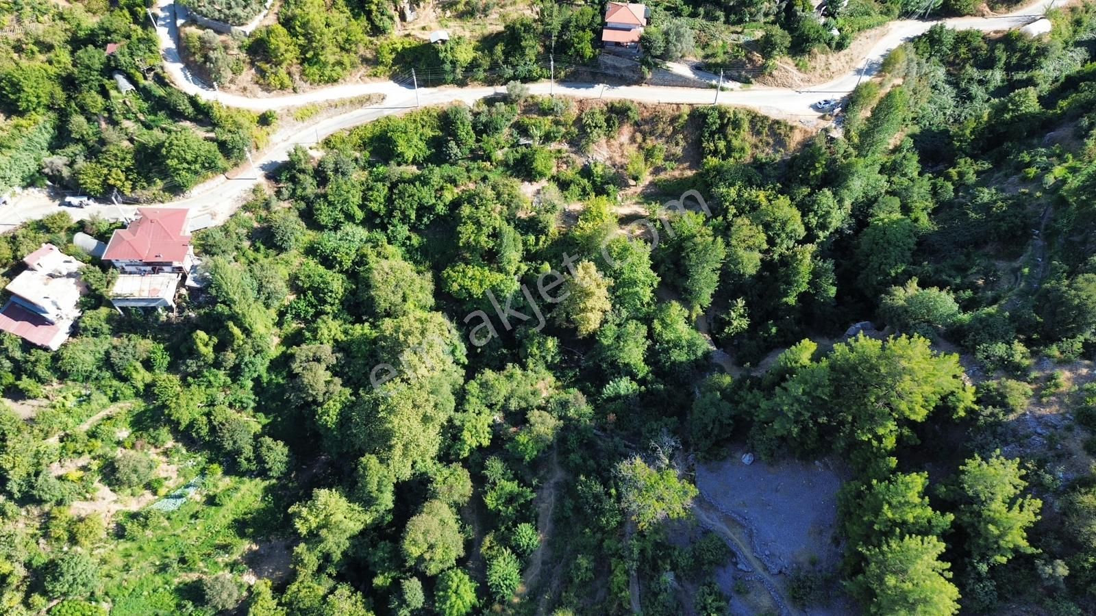 Alanya Deretürbelinas Köyü’nde Satılık 4.276 M² Tarla - Görsel 7