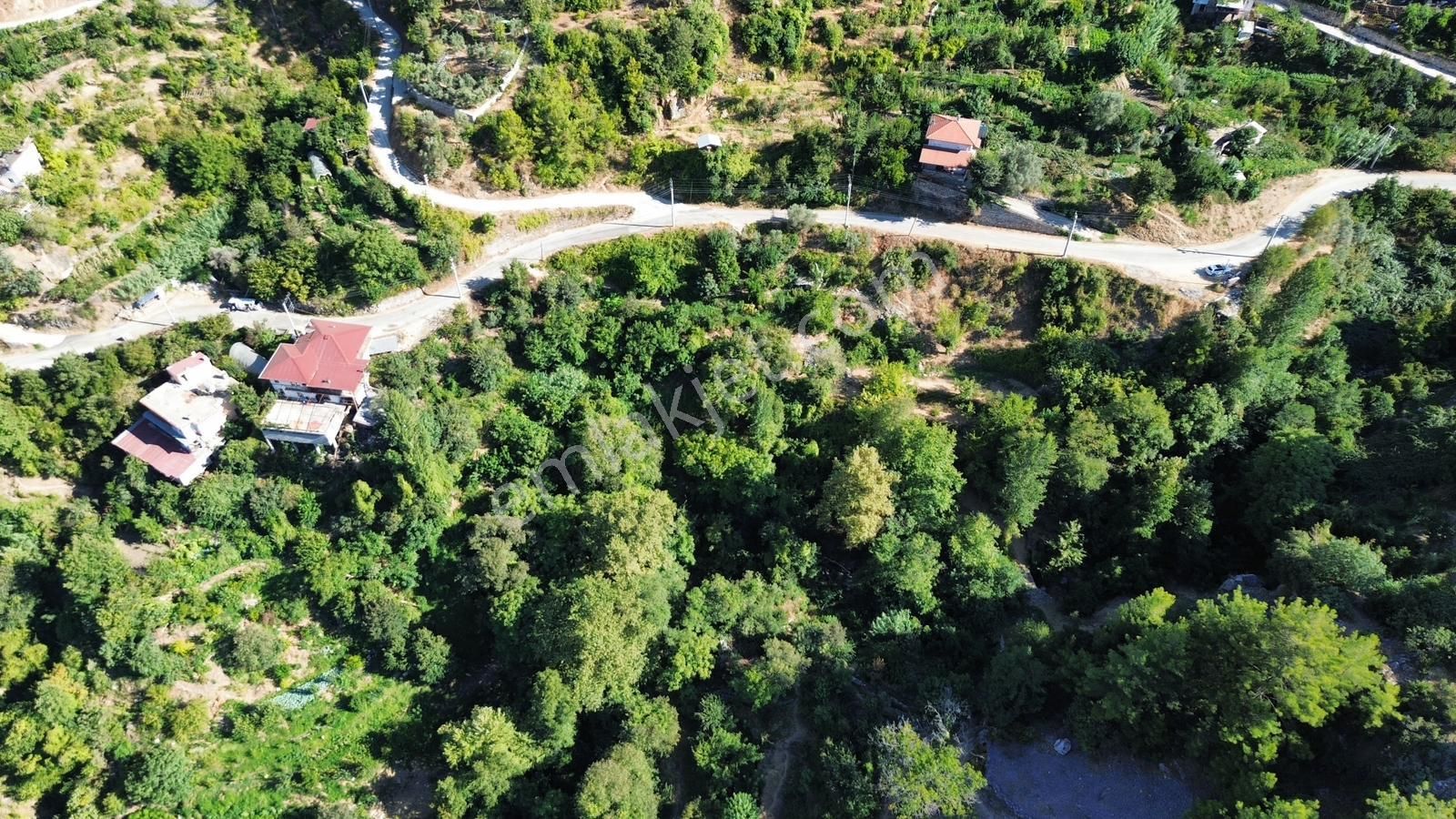 Alanya Deretürbelinas Köyü’nde Satılık 4.276 M² Tarla - Görsel 9