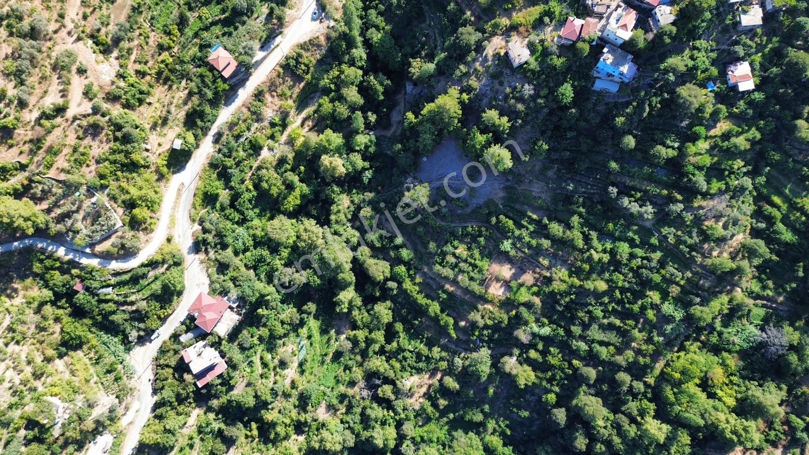 Alanya Deretürbelinas Köyü’nde Satılık 4.276 M² Tarla - Görsel 5