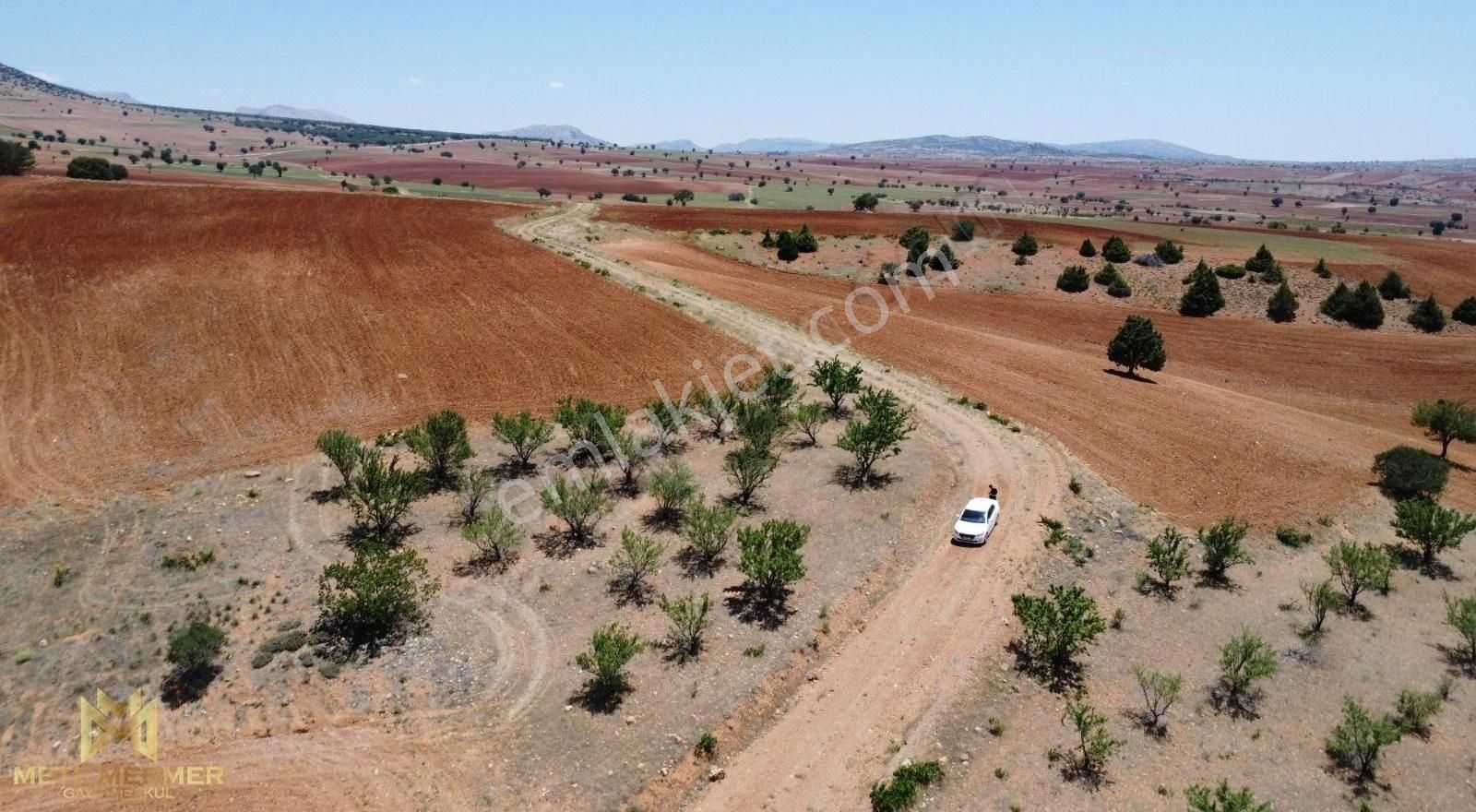 Yetişmiş Badem Bahçesi Mete Mermer'den - Görsel 7