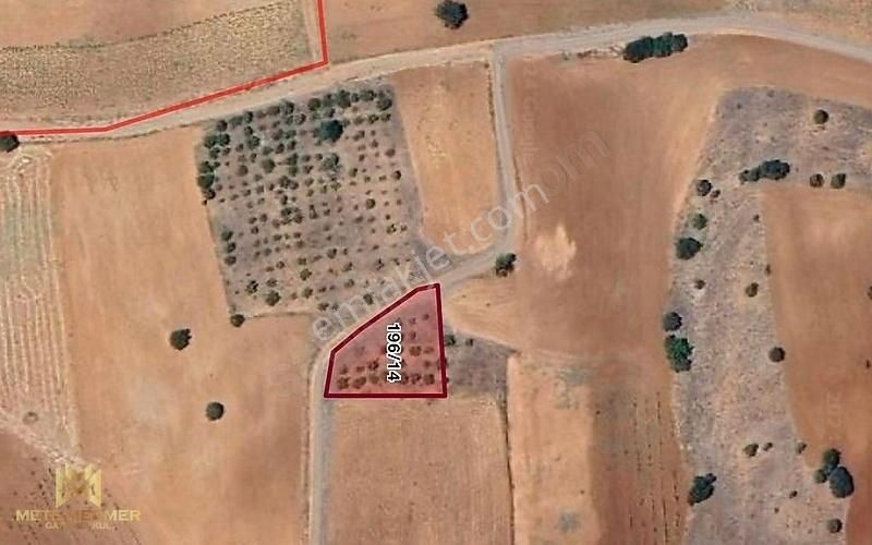 Yetişmiş Badem Bahçesi Mete Mermer'den - Görsel 5