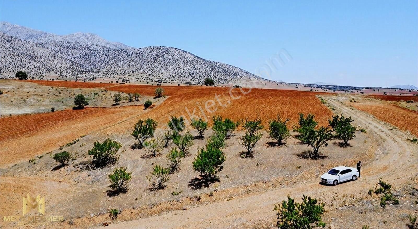 Yetişmiş Badem Bahçesi Mete Mermer'den - Görsel 2