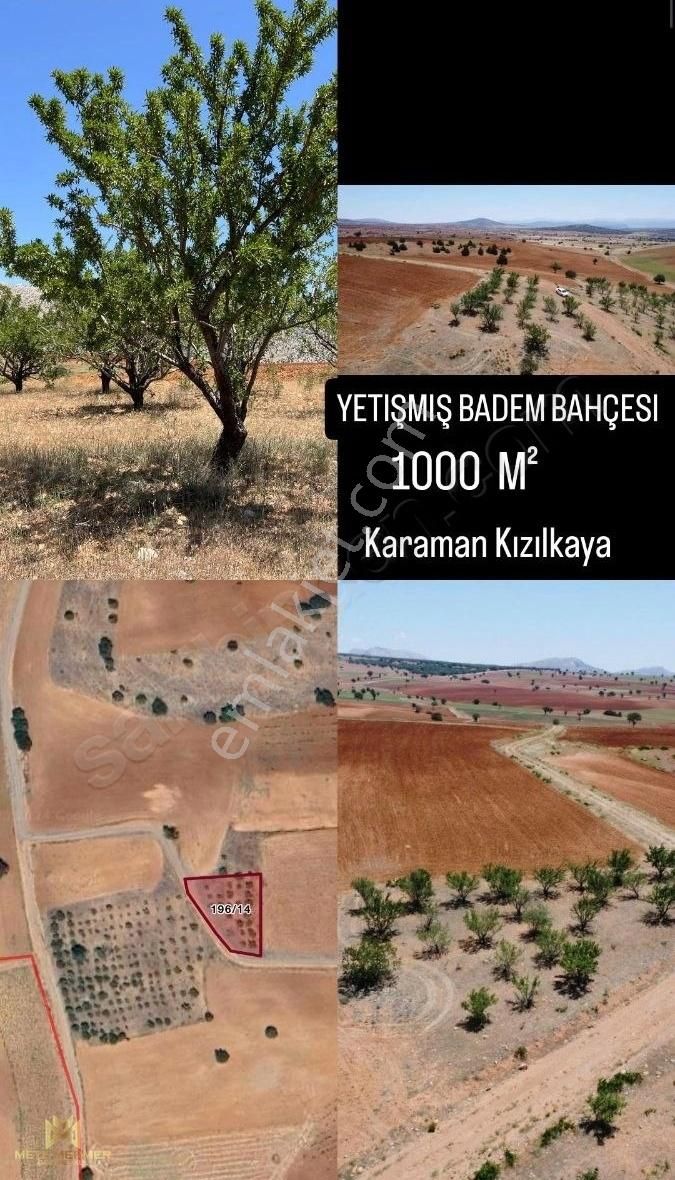 Yetişmiş Badem Bahçesi Mete Mermer'den - Görsel 4