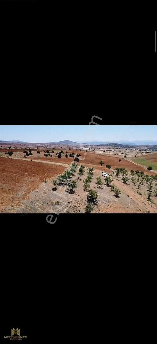 Yetişmiş Badem Bahçesi Mete Mermer'den - Görsel 8