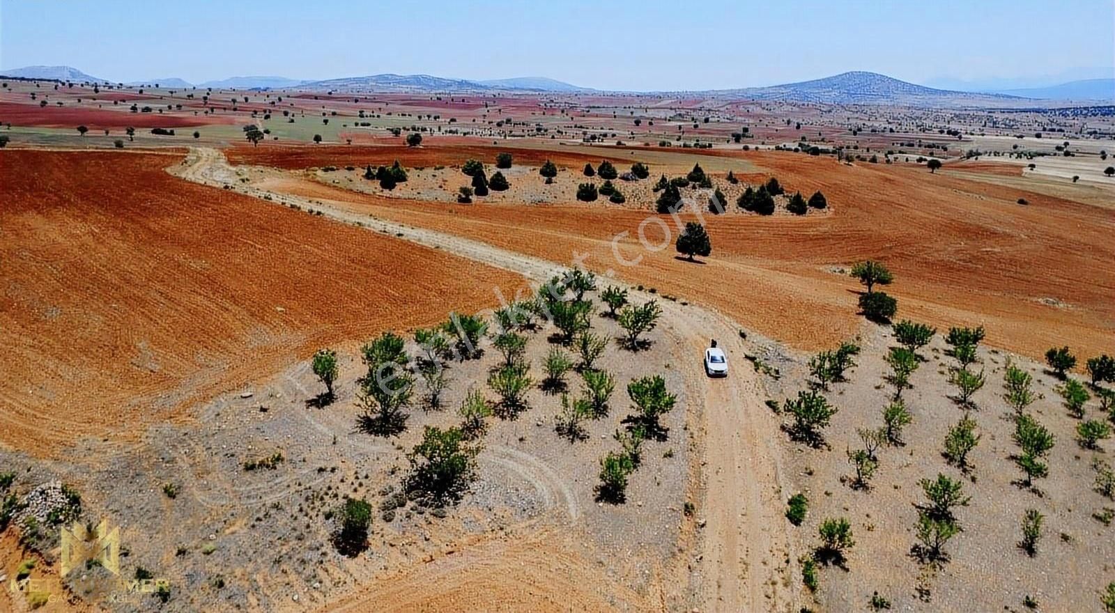 Yetişmiş Badem Bahçesi Mete Mermer'den - Görsel 6
